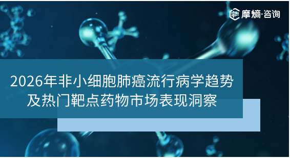 2026年非小细胞肺癌流行病学趋势及热门靶点药物市场表现洞察
