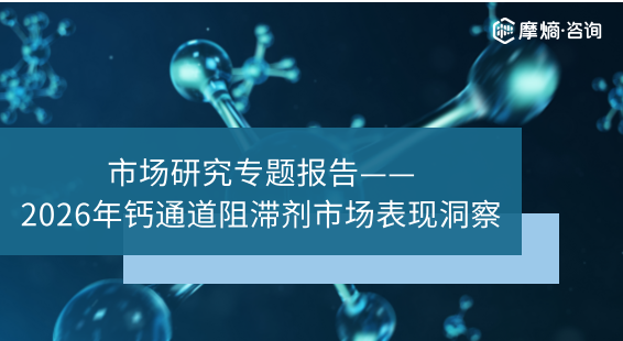 2026年钙通道阻滞剂市场表现洞察